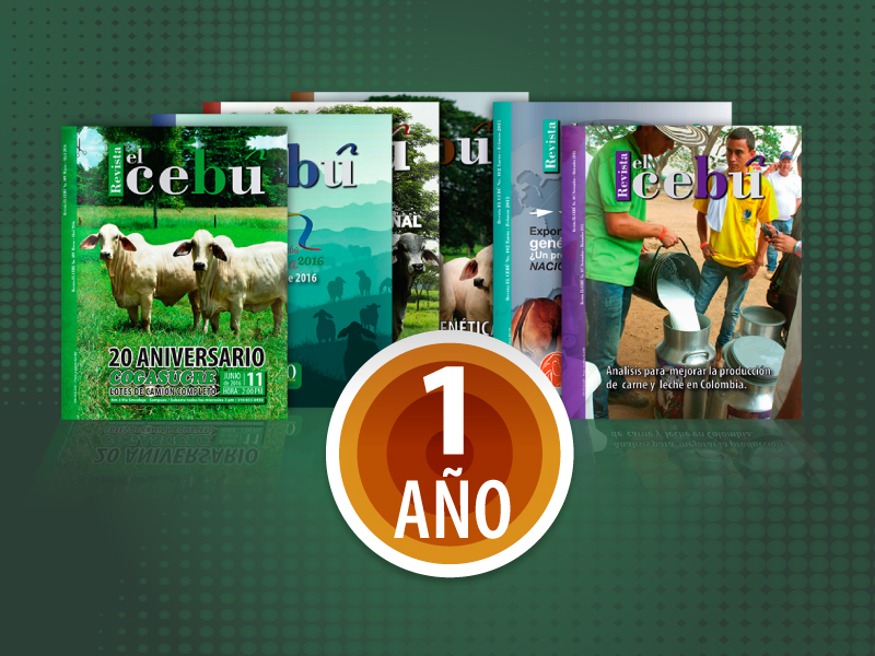 Revista el Cebú Impresa y Digital X 1año