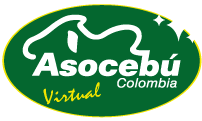 Asocebú