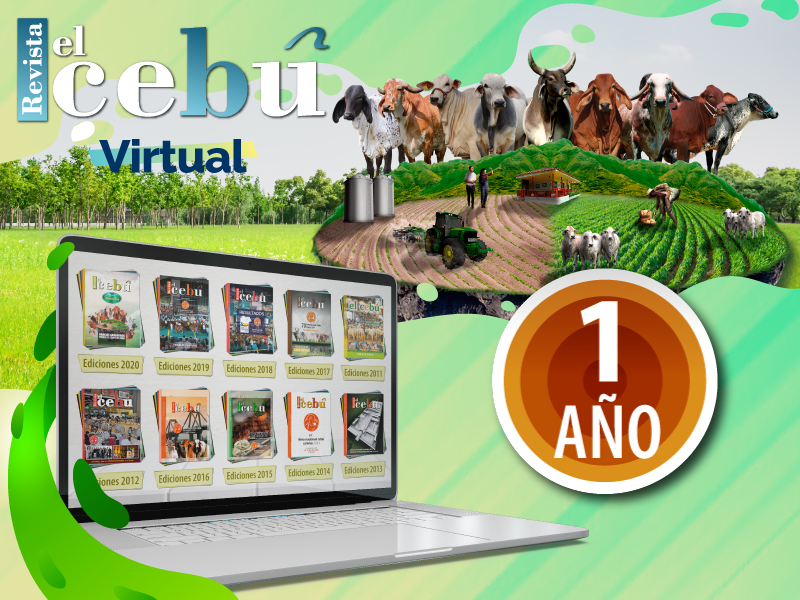 Revista el Cebú Virtual<br/>X 1 años