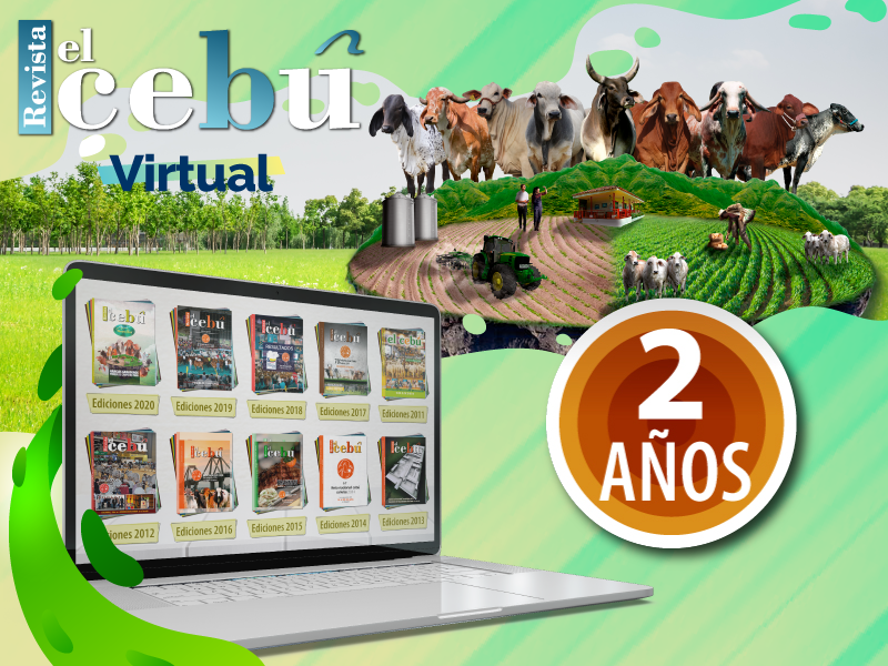 Revista el Cebú Virtual<br/> X 2 años