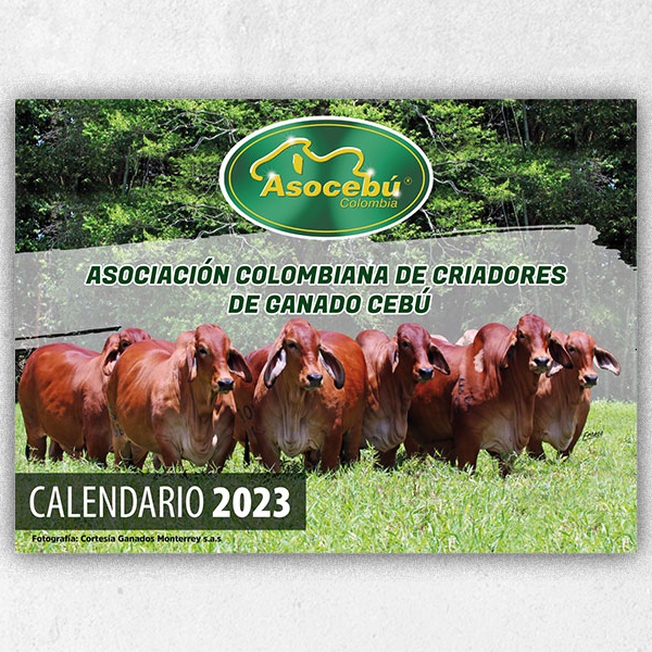 Calendario2