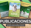 Publicaciones
